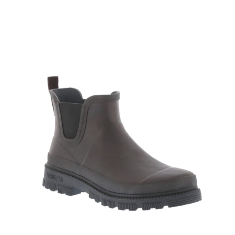 Verbenas 'Luka' / Brown/Black