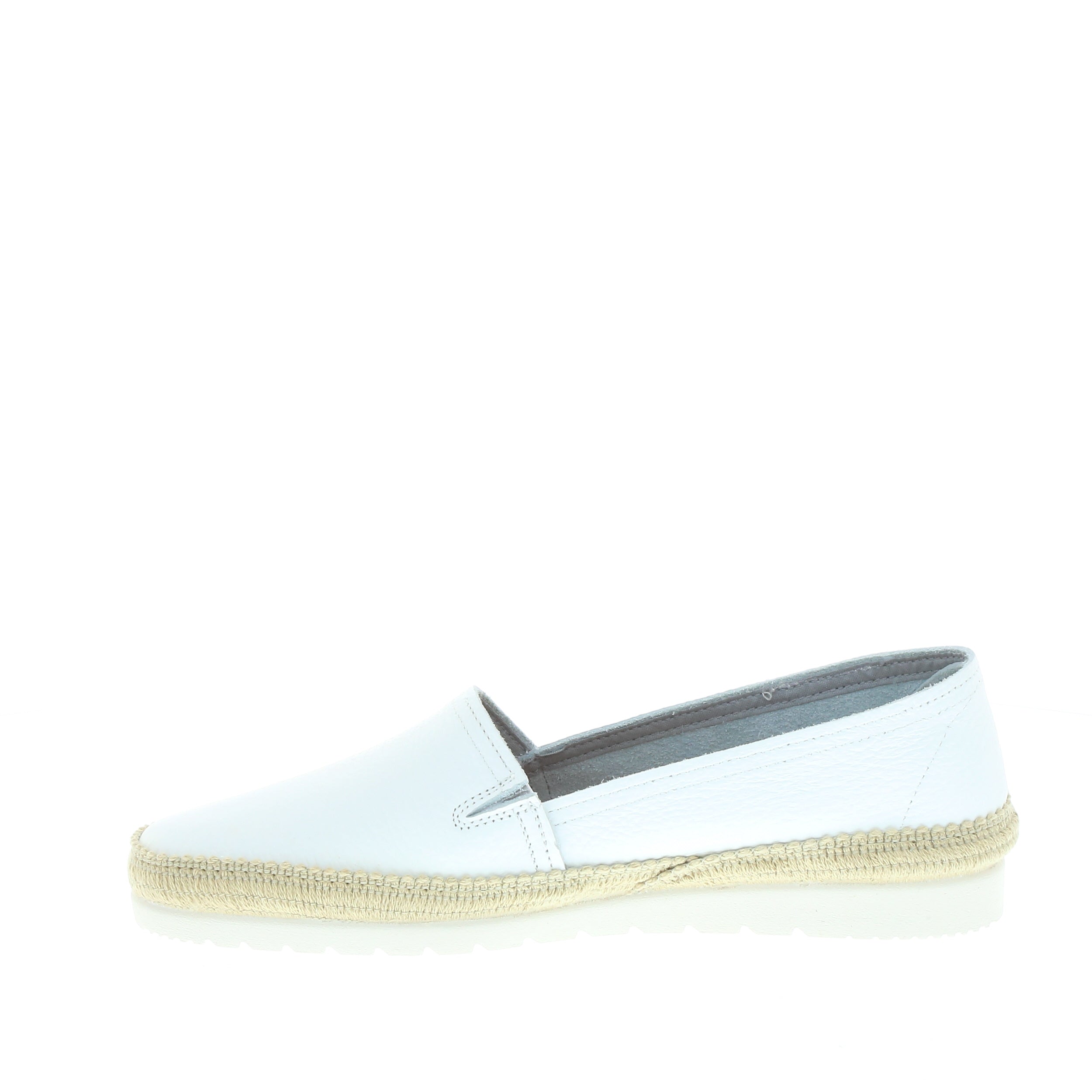 Verbenas 'Noelia' / Blanco