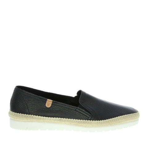 Verbenas 'Nuria' / Negro
