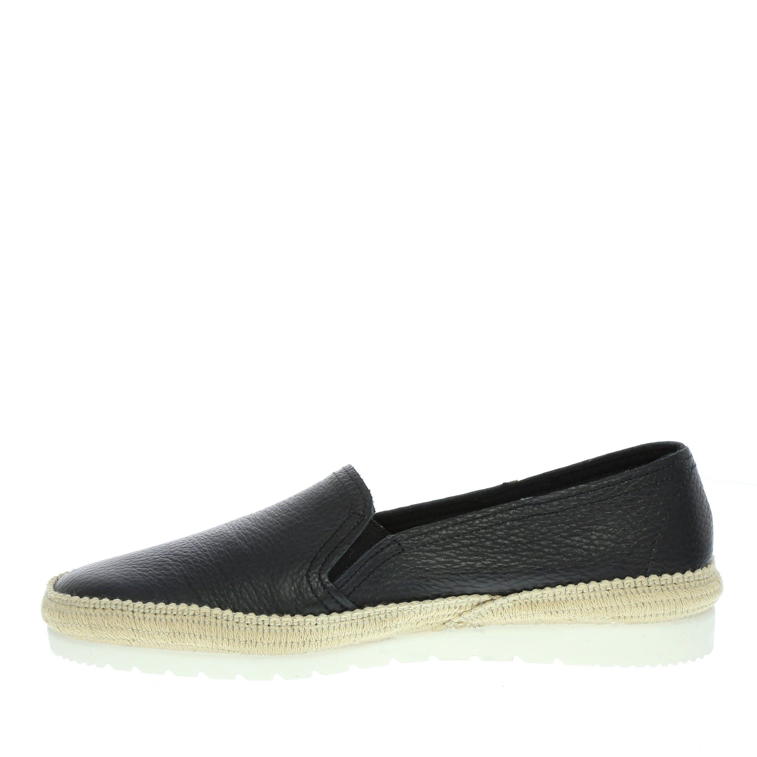 Verbenas 'Nuria' / Negro