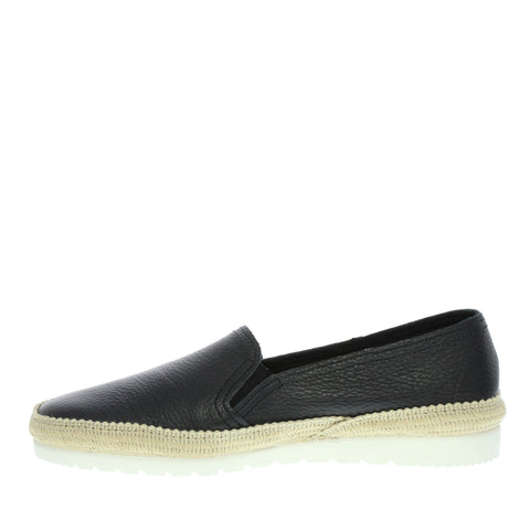 Verbenas 'Nuria' / Negro