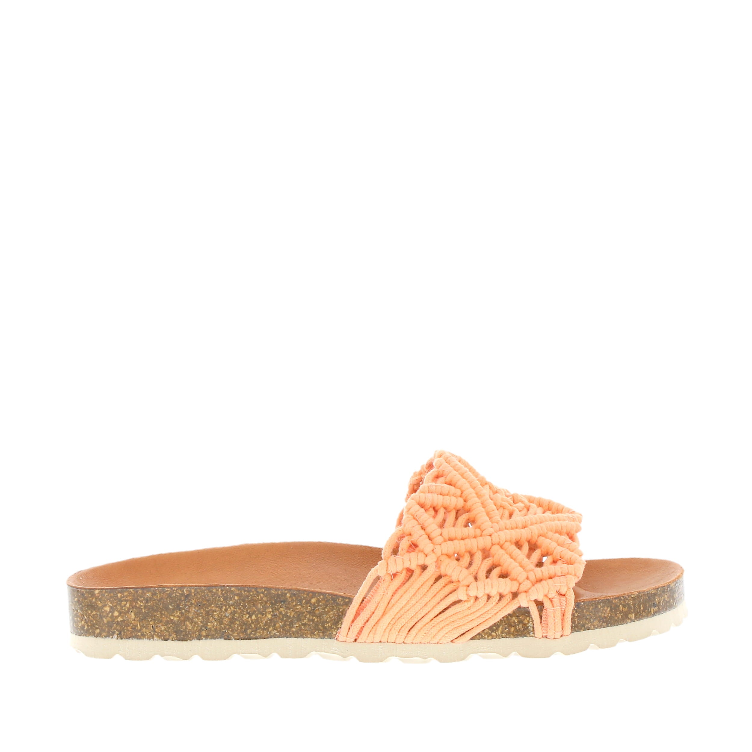 Verbenas 'Raga' / Coral