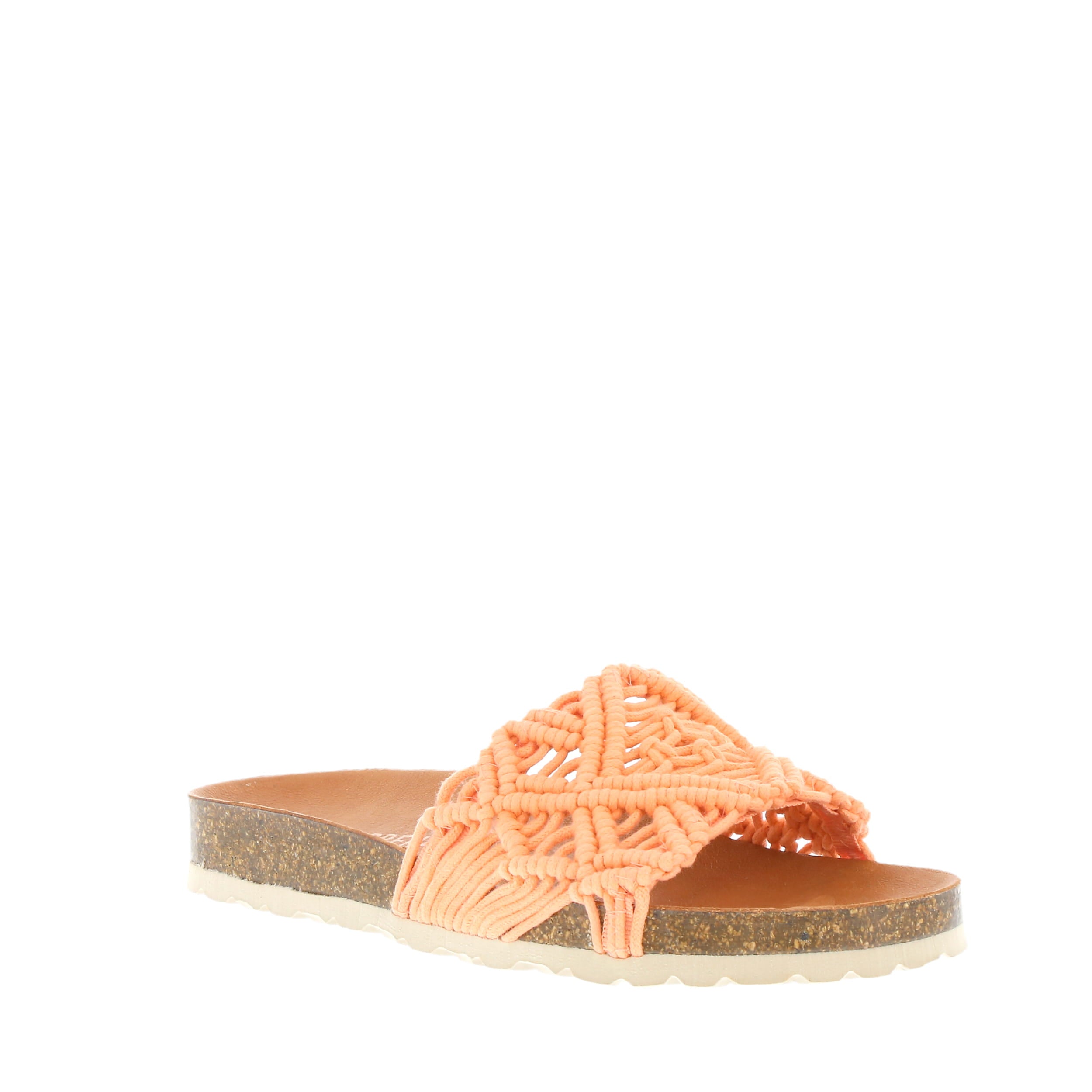 Verbenas 'Raga' / Coral