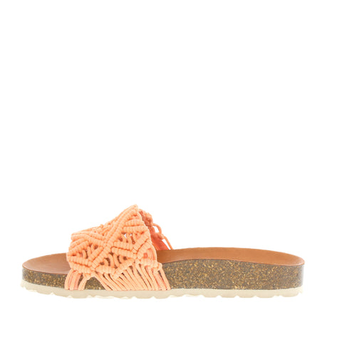 Verbenas 'Raga' / Coral