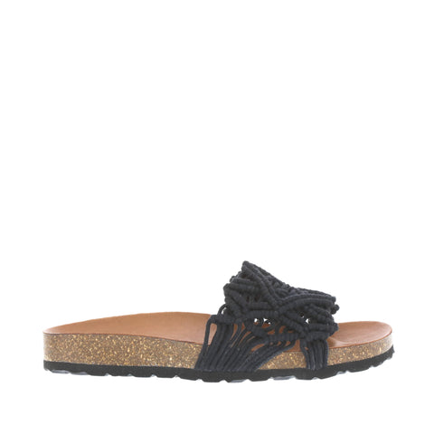 Verbenas 'Raga' / Negro