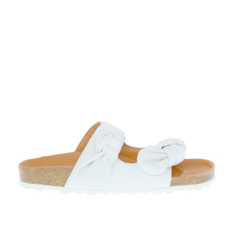 Verbenas 'Rain' / Blanco