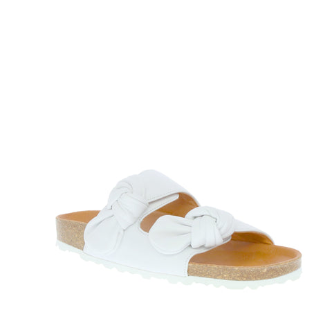 Verbenas 'Rain' / Blanco