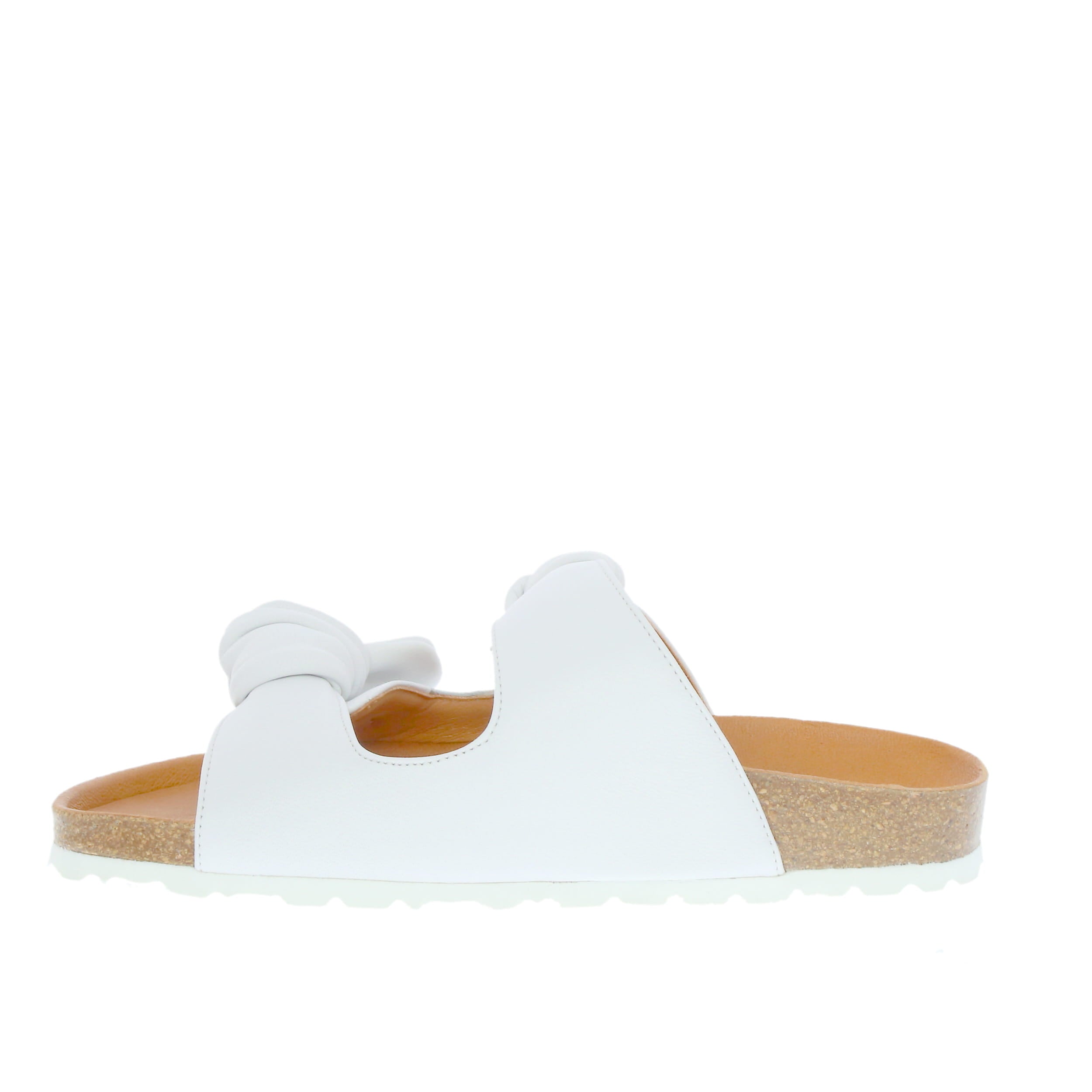 Verbenas 'Rain' / Blanco