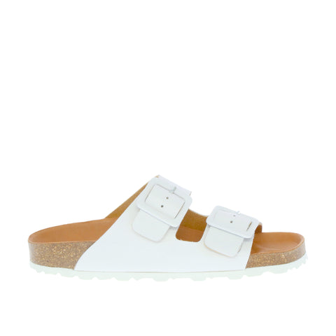 Verbenas 'Randell' / Blanco