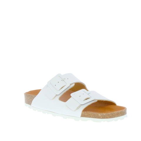 Verbenas 'Randell' / Blanco