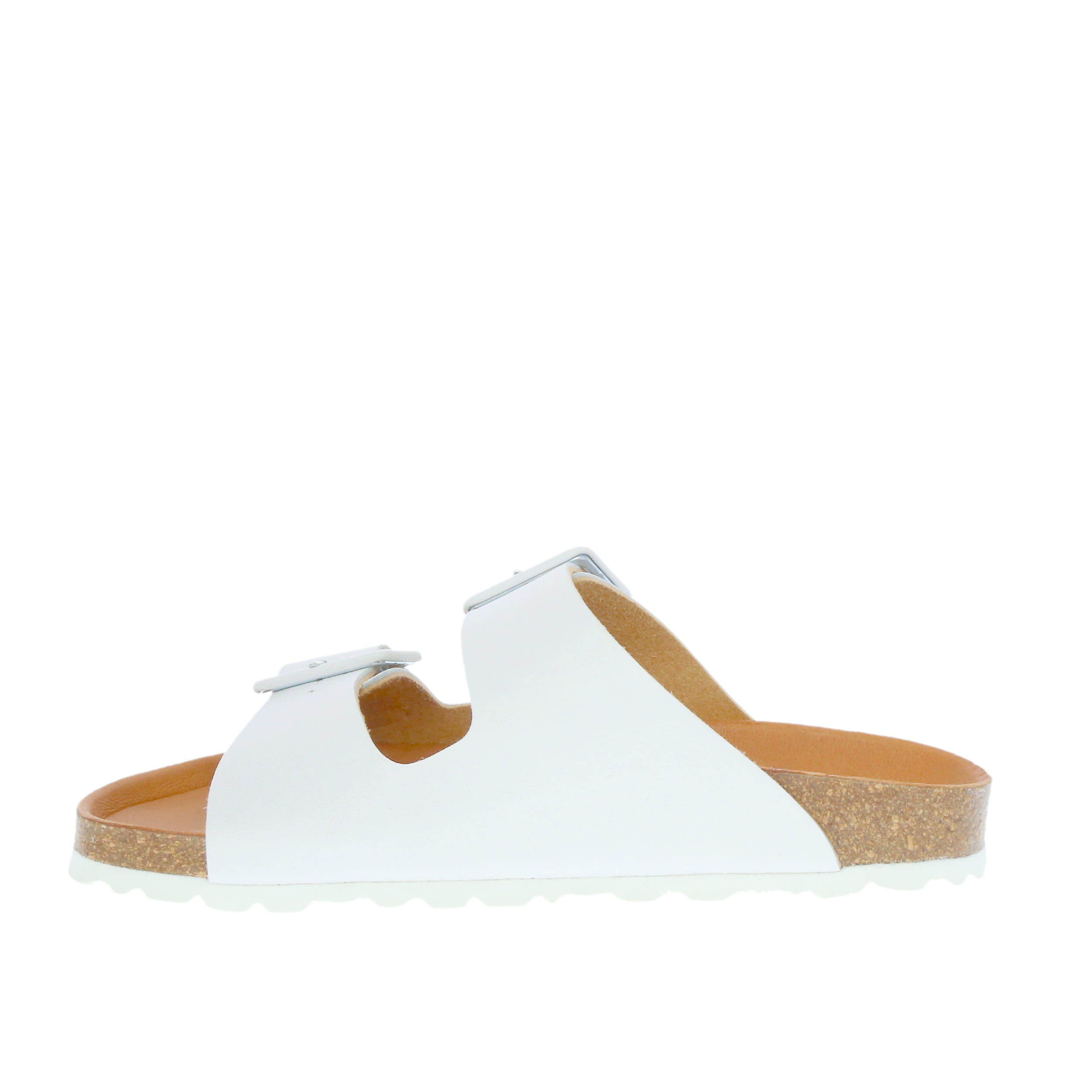 Verbenas 'Randell' / Blanco