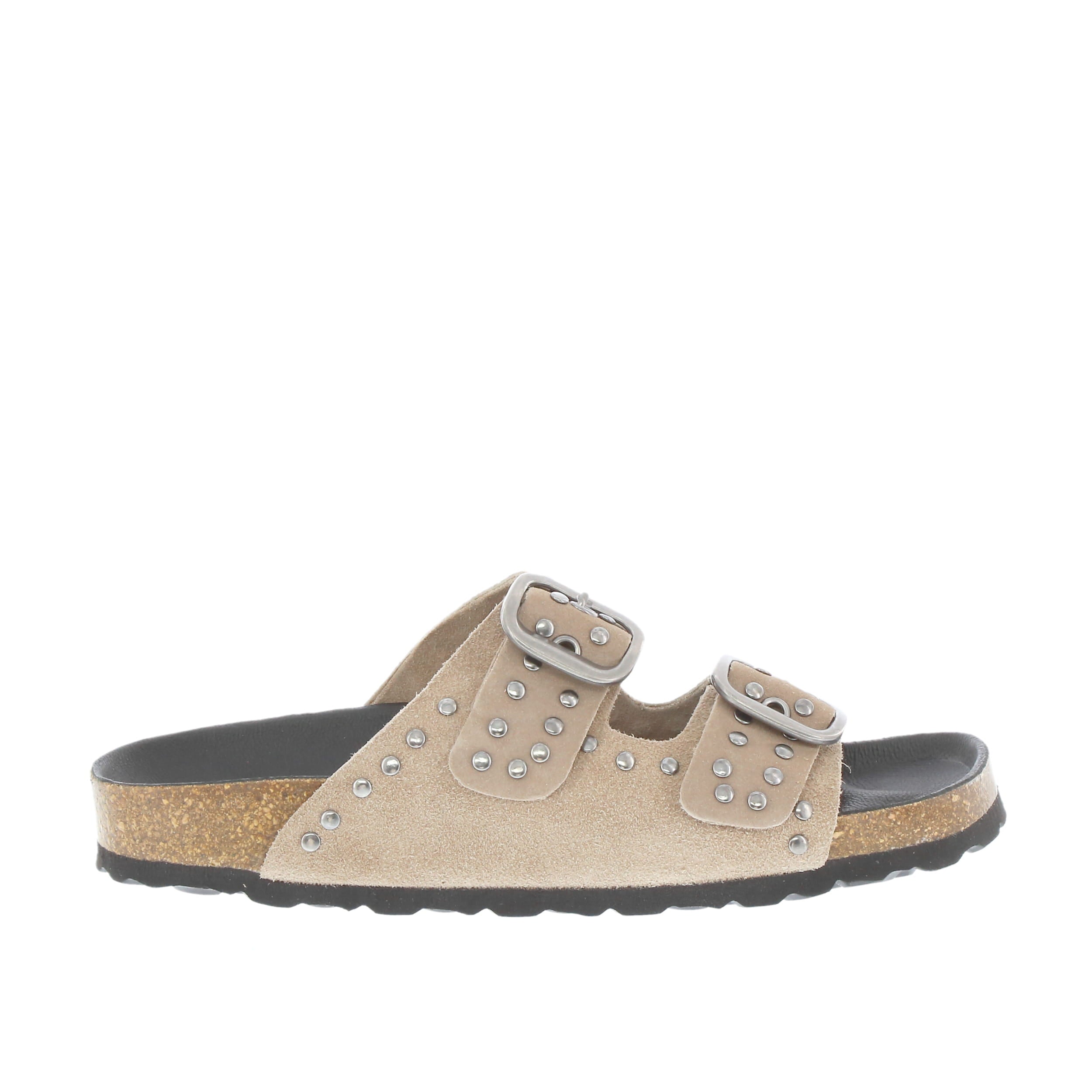 Verbenas 'Randell' / Piedra