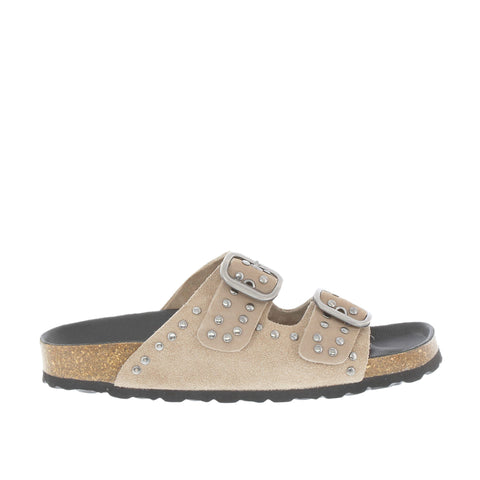 Verbenas 'Randell' / Piedra