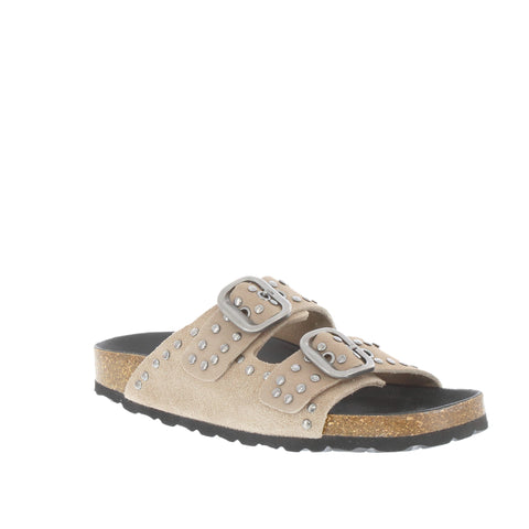 Verbenas 'Randell' / Piedra