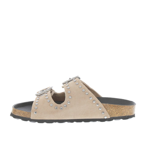 Verbenas 'Randell' / Piedra