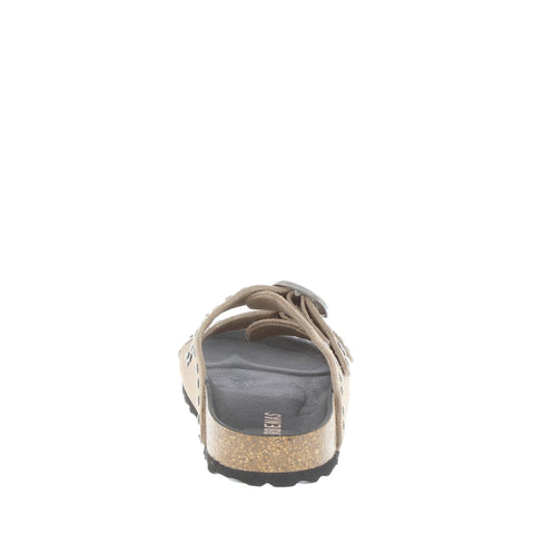 Verbenas 'Randell' / Piedra