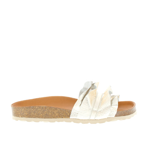 Verbenas 'Rocio' / Oro