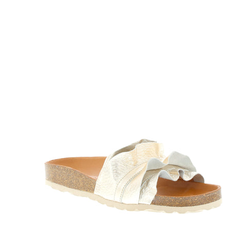 Verbenas 'Rocio' / Oro