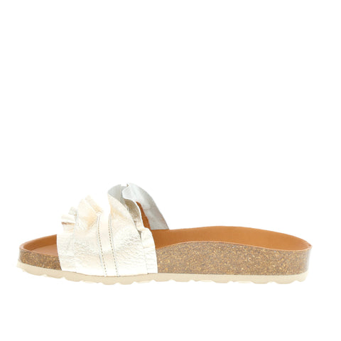 Verbenas 'Rocio' / Oro