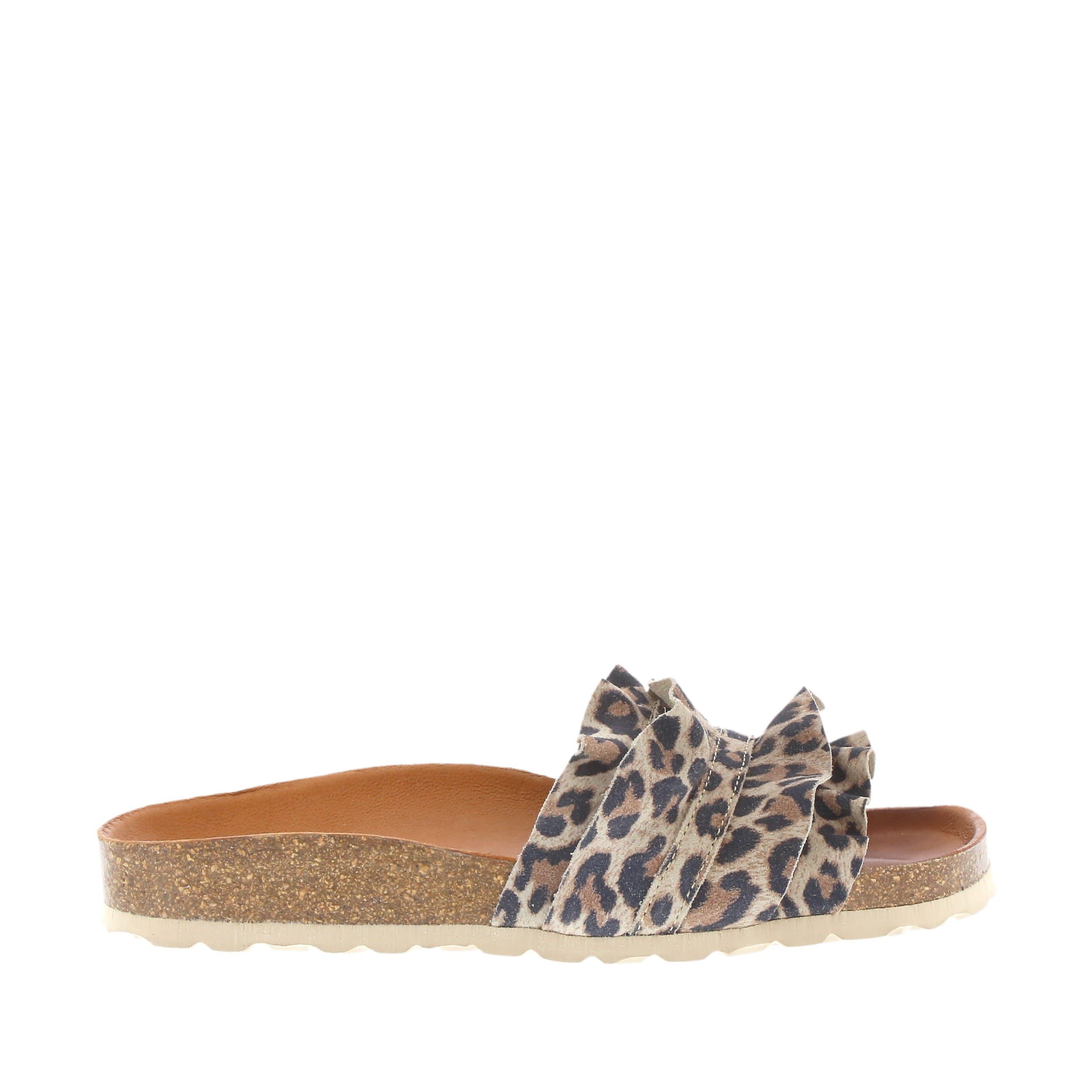 Verbenas 'Rocio' / Leopardo Grande