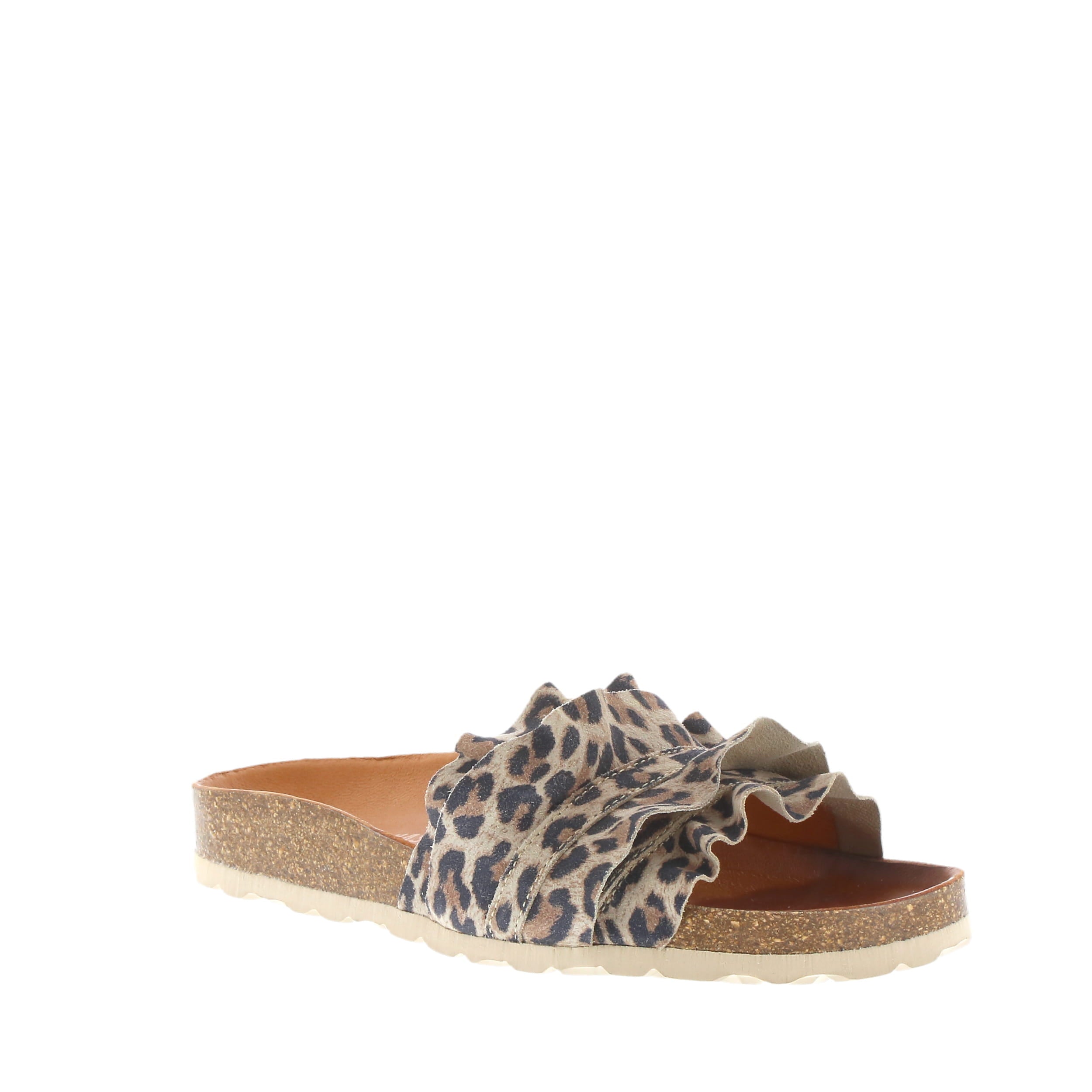 Verbenas 'Rocio' / Leopardo Grande