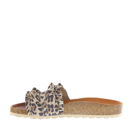 Verbenas 'Rocio' / Leopardo Grande