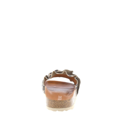 Verbenas 'Rocio' / Leopardo Grande