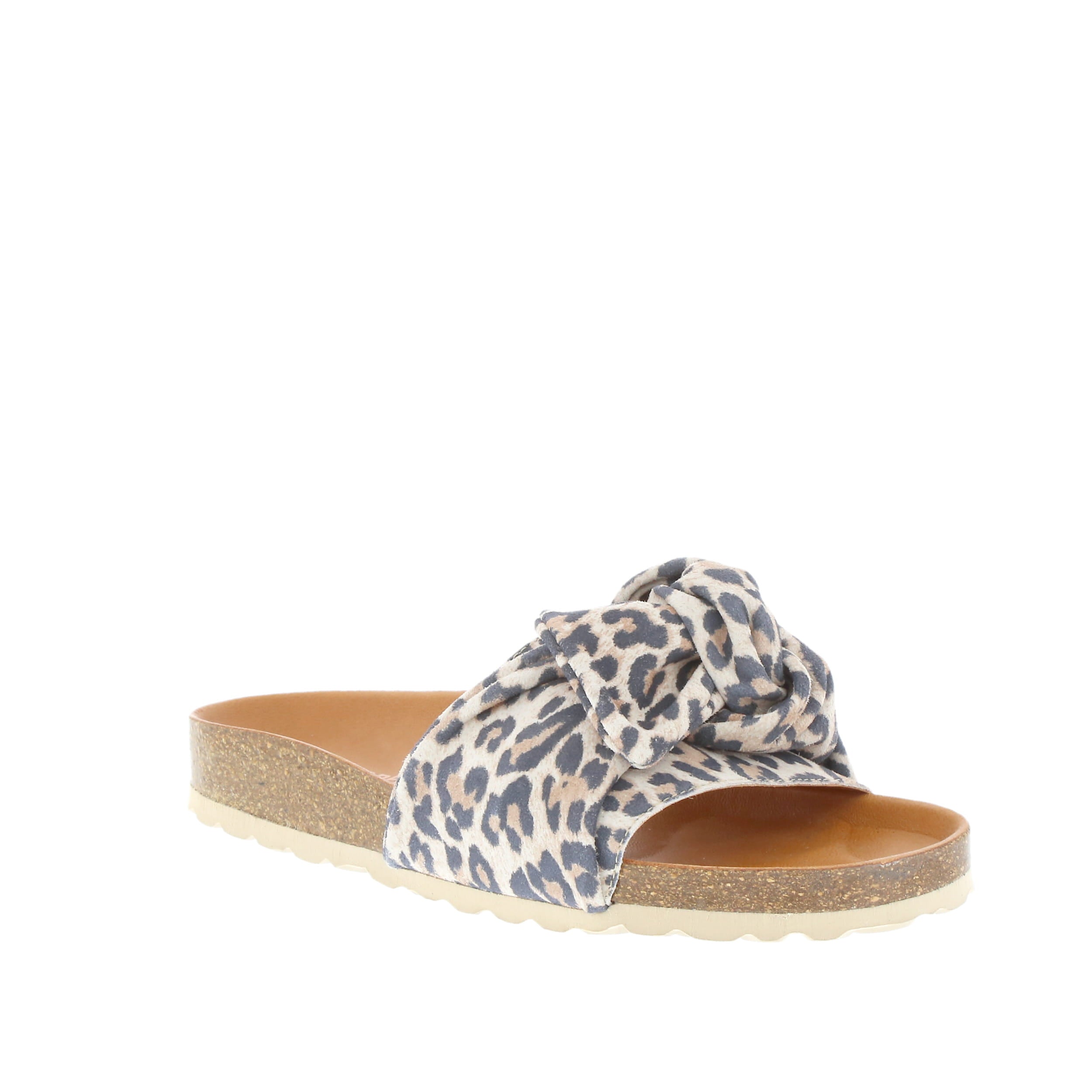 Verbenas 'Roxy' / Grande