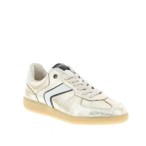 Verbenas 'Sora' / Oro