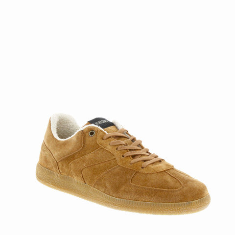 Verbenas 'Soro' / Marron