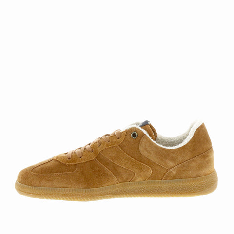 Verbenas 'Soro' / Marron