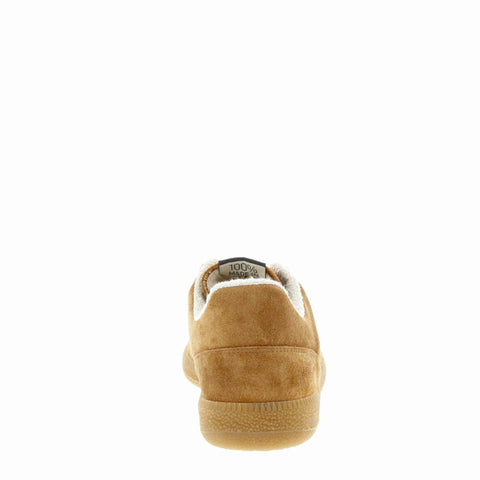 Verbenas 'Soro' / Marron