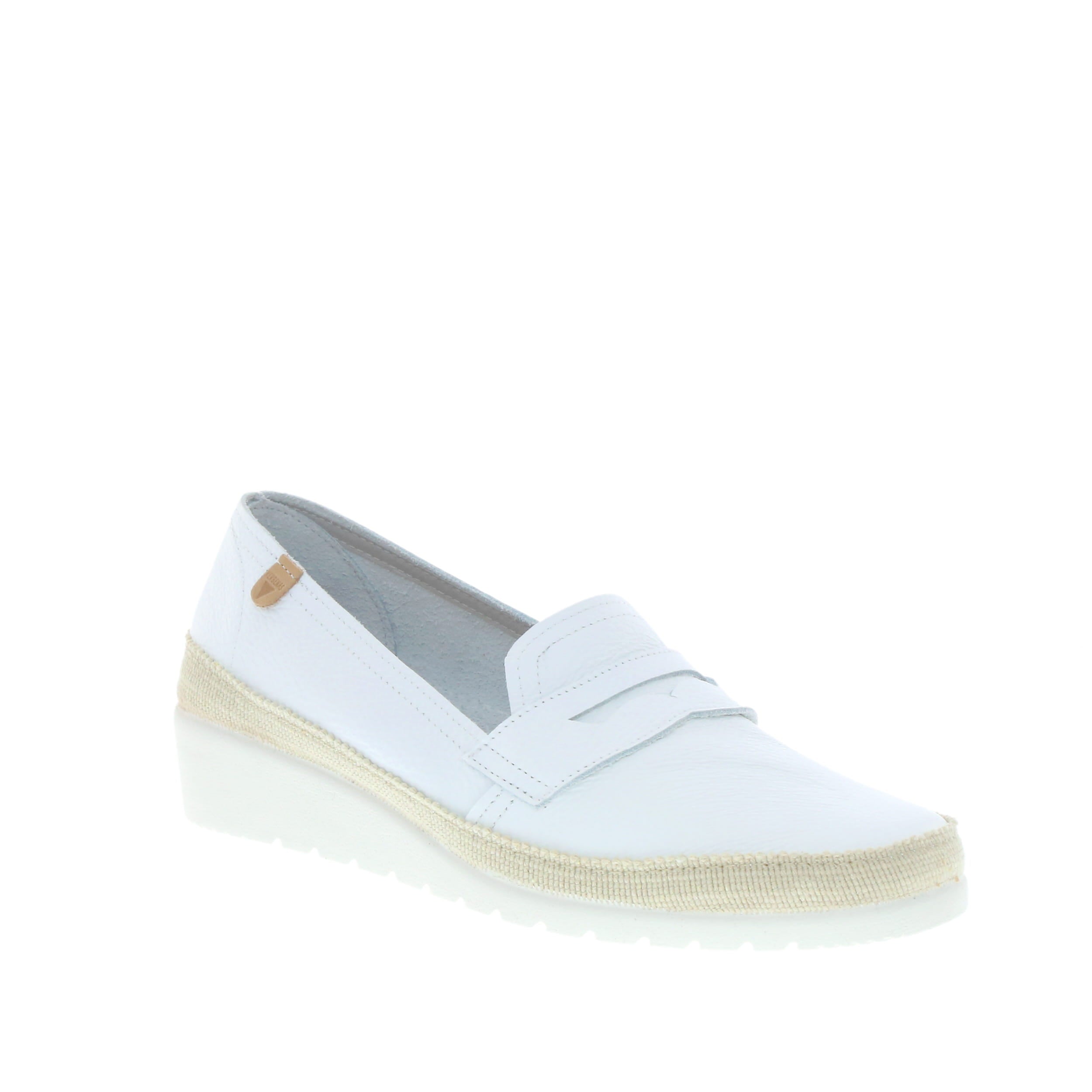 Verbenas 'Thalia' / Blanco