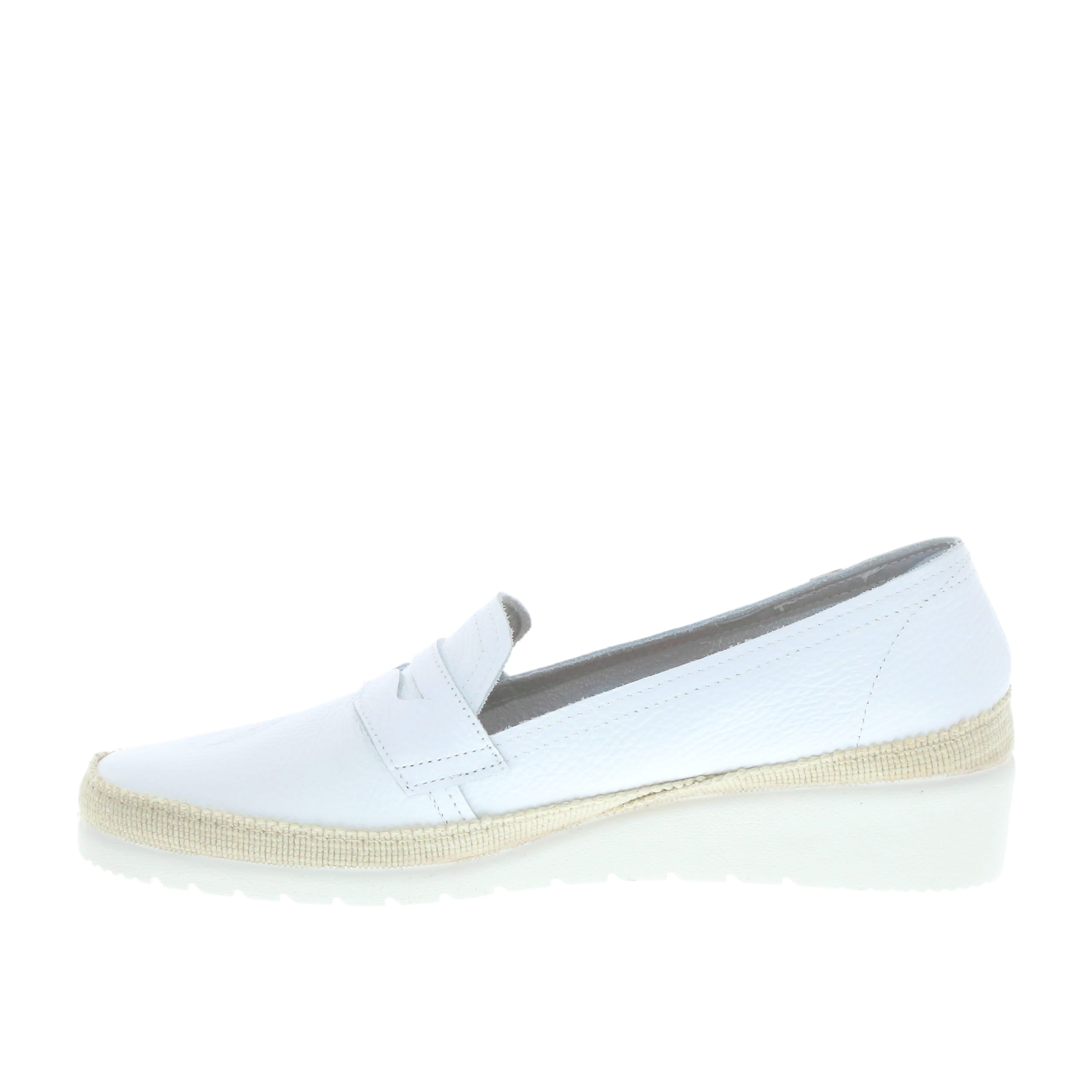 Verbenas 'Thalia' / Blanco