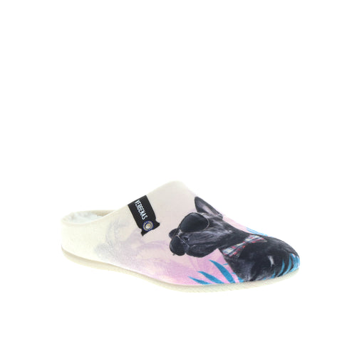Verbenas 'York' / Bulldog