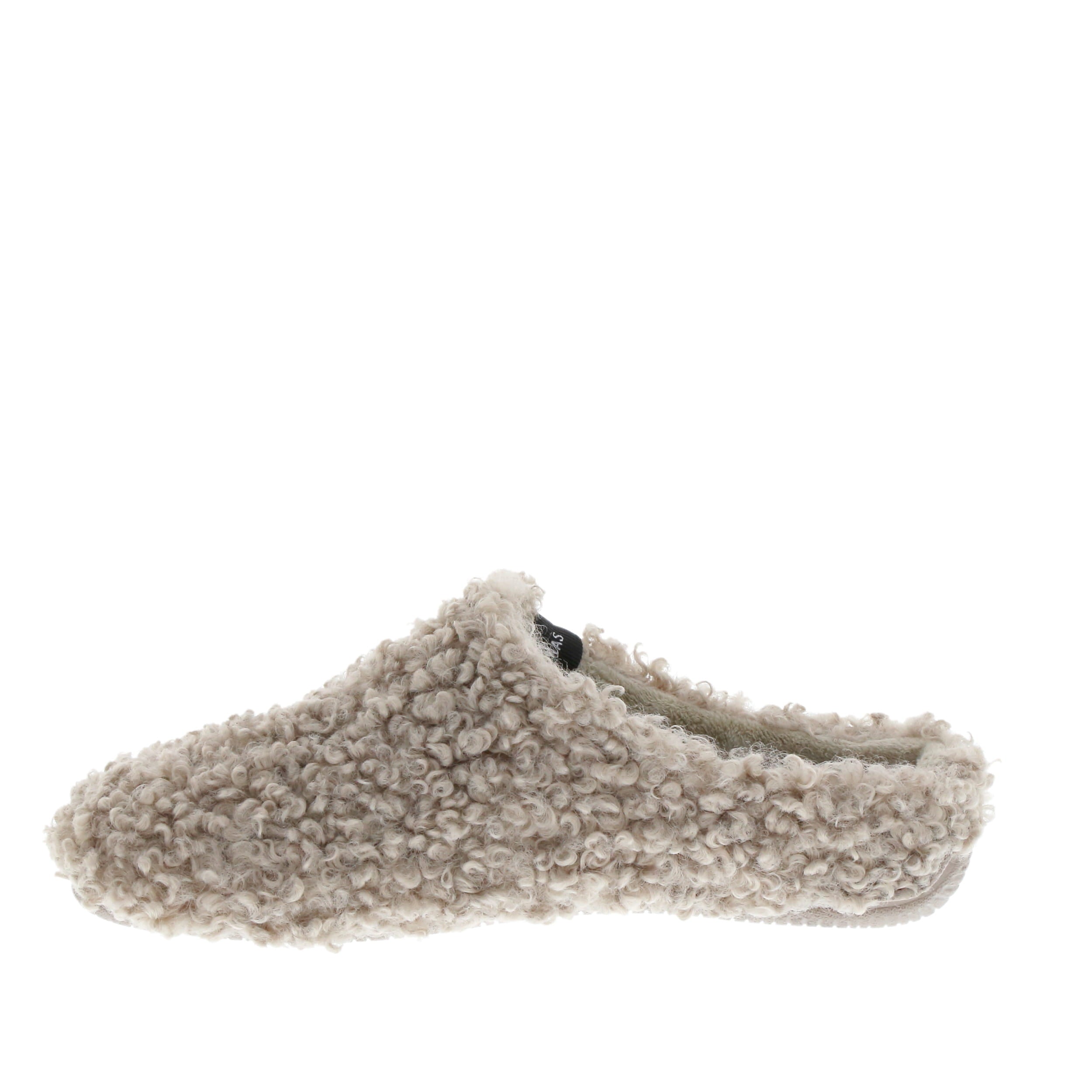 Verbenas 'York' / Curly Camel