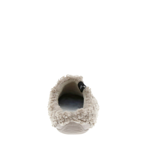Verbenas 'York' / Curly Camel