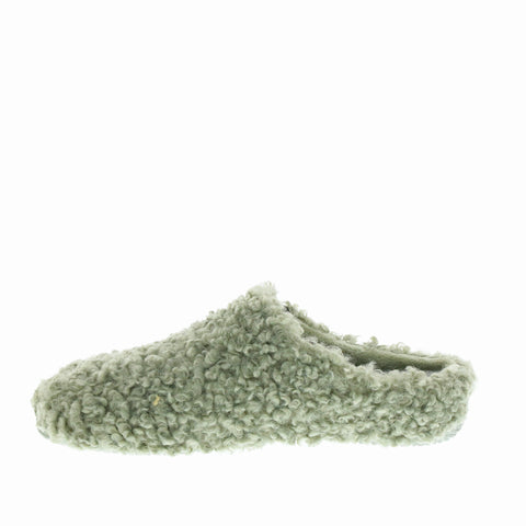 Verbenas 'York' / Curly Verde