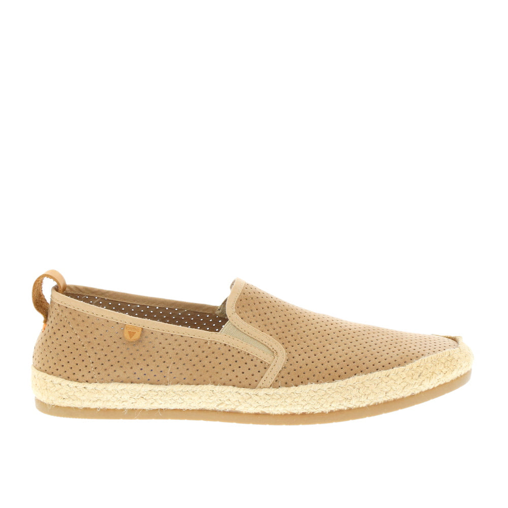 Verbenas 'Kenny' / Picado Cuero