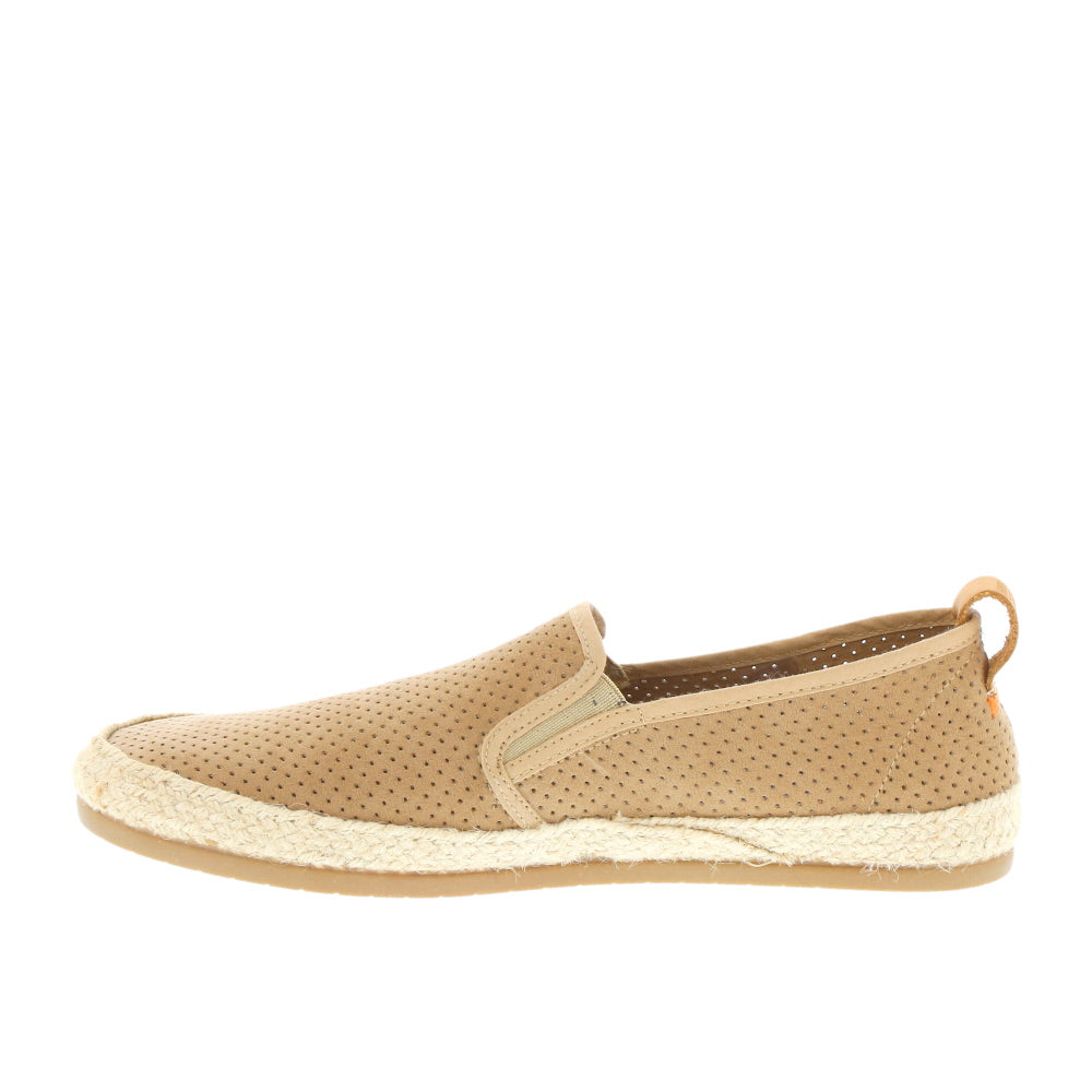Verbenas 'Kenny' / Picado Cuero