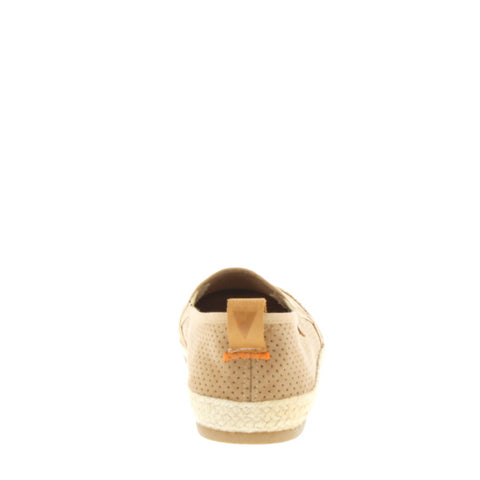 Verbenas 'Kenny' / Picado Cuero