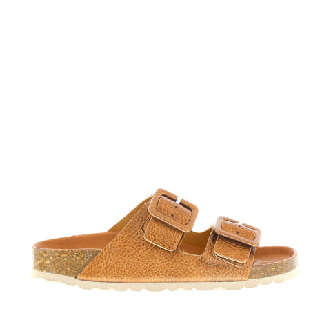 Verbenas 'Randell' / Bronce