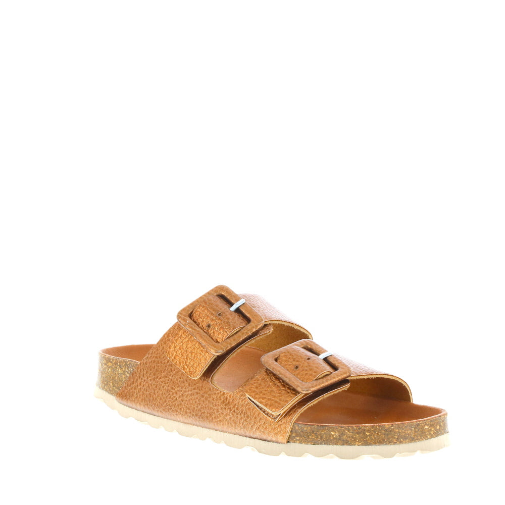 Verbenas 'Randell' / Bronce