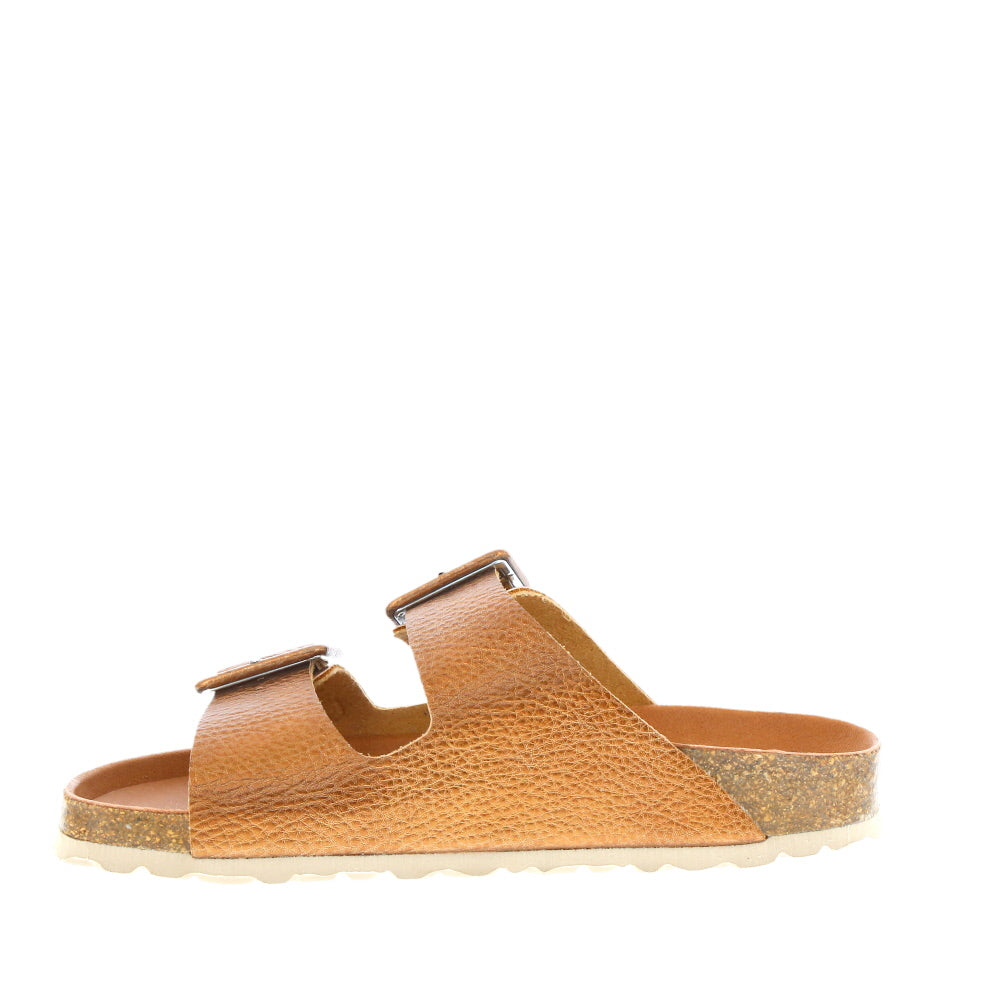 Verbenas 'Randell' / Bronce