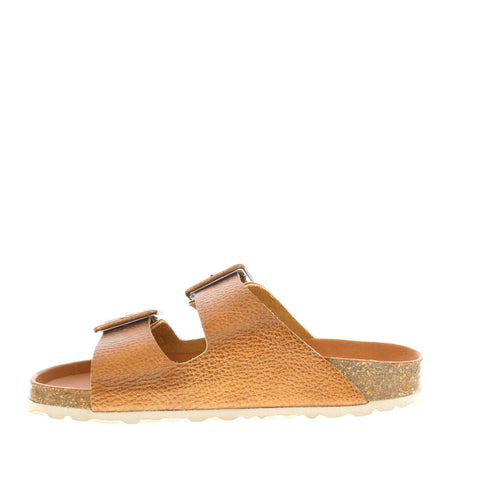 Verbenas 'Randell' / Bronce