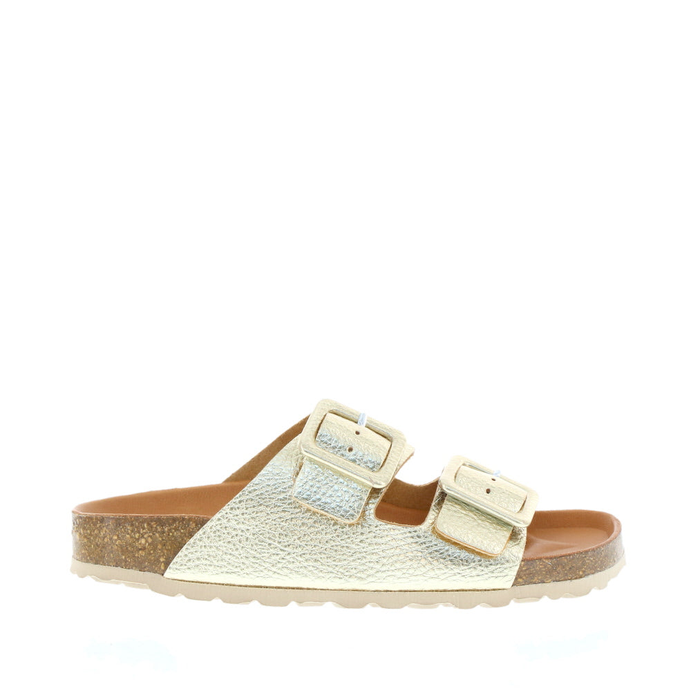 Verbenas 'Randell' / Oro