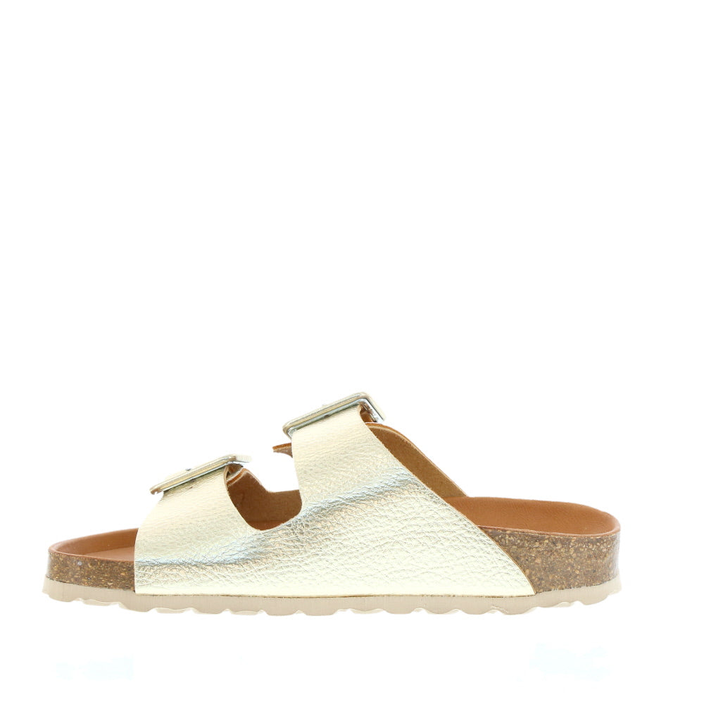 Verbenas 'Randell' / Oro