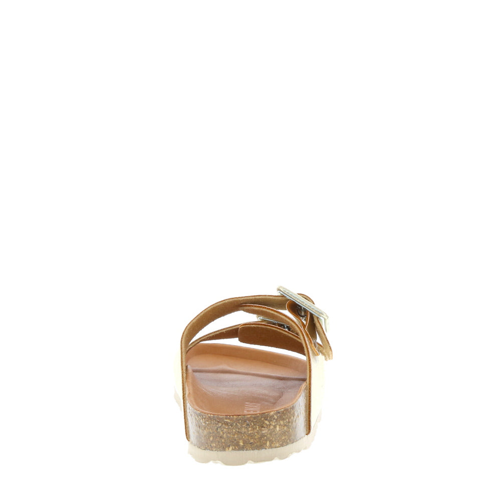 Verbenas 'Randell' / Oro