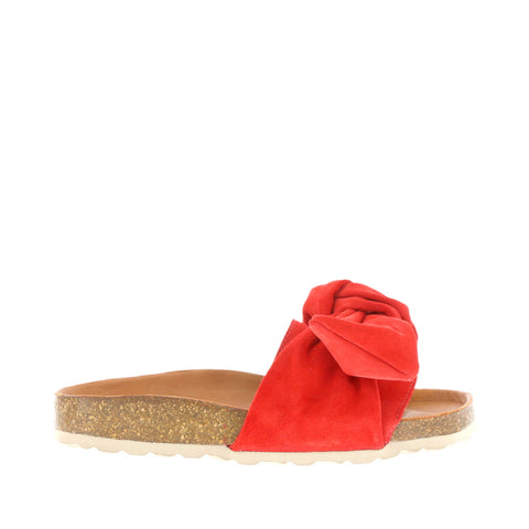 Verbenas 'Roxy' / Fuego