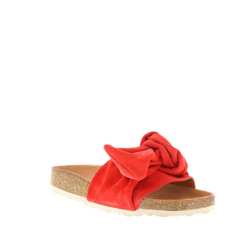 Verbenas 'Roxy' / Fuego